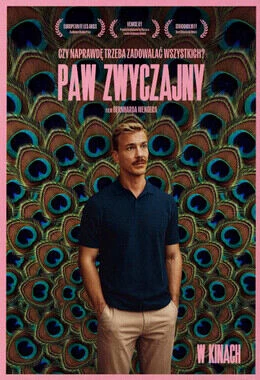 WTOREK Z DOBRYM KINEM - Paw zwyczajny